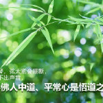 找决战私服发布网:终极装备属性与幻石加成全解析插图 找决战私服发布网