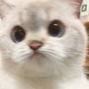 《决战私服》超炫皮肤与功能优化攻略——带你畅享最新版本特色玩法插图 《决战私服》超炫皮肤与功能优化攻略——带你畅享最新版本特色玩法插图